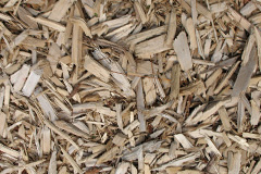 biomass boilers Sculthorpe